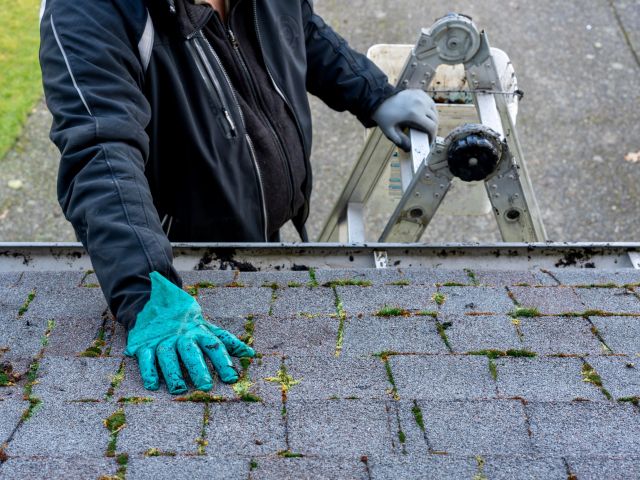 Cleaning A Roof